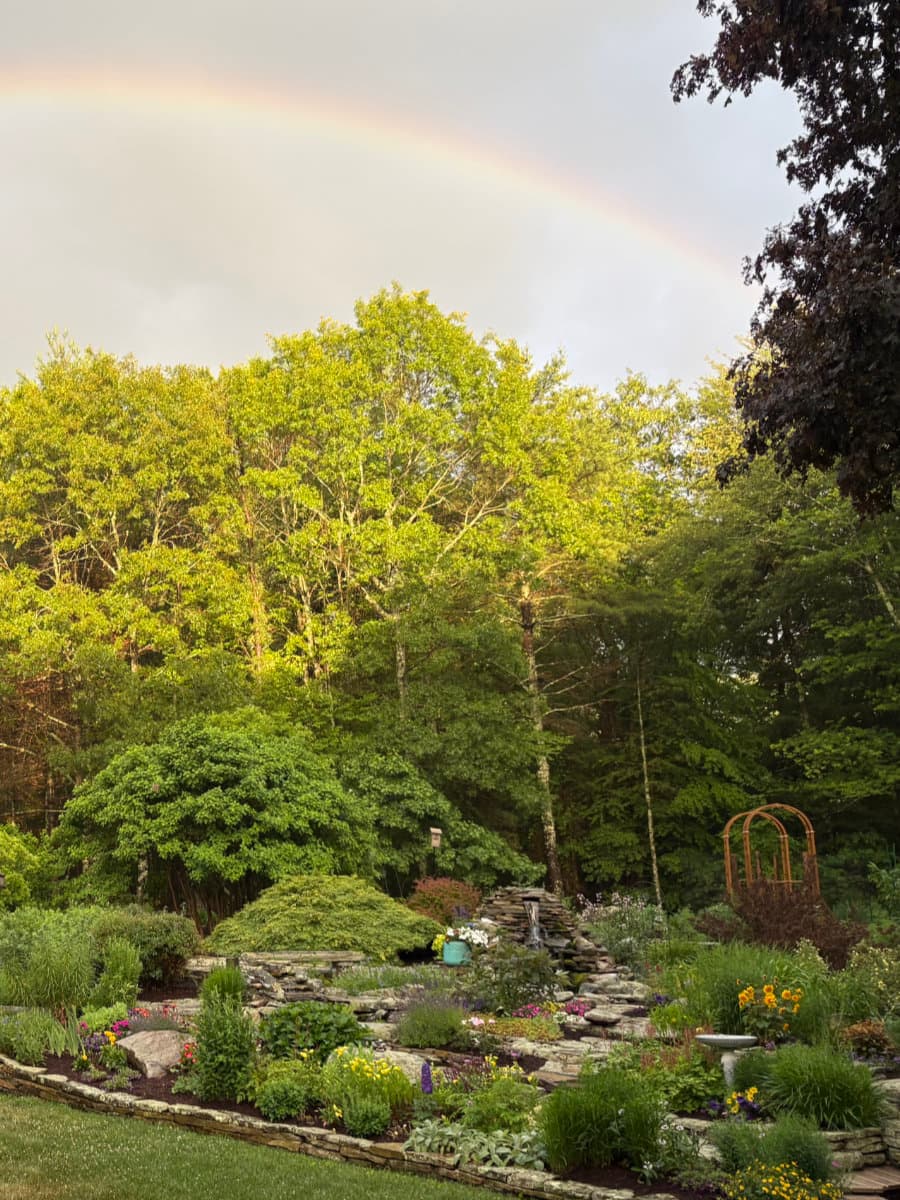 A rainbow arcing over the treeline of Pamela and Brad's garden